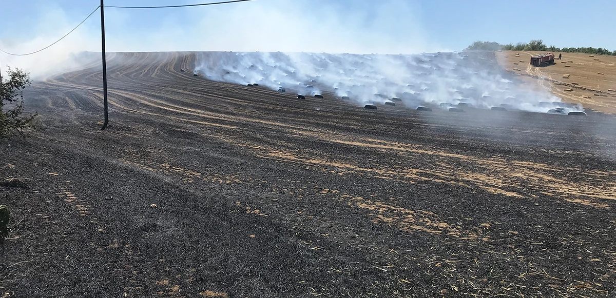 Tekirdağ'da 40 dekar tarla yandı