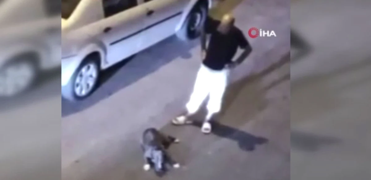 Vicdansız herif eve götüremediği köpeğine tekme tokat saldırdı