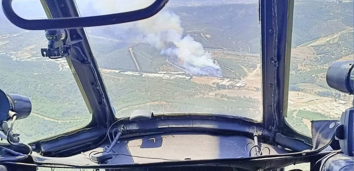 İzmir’de orman yangını