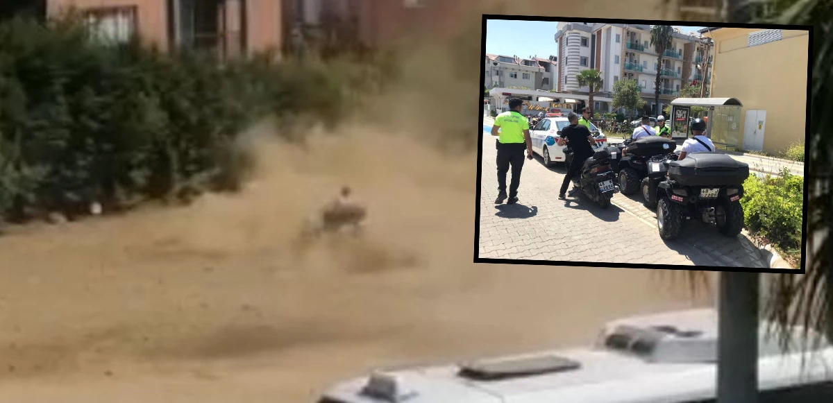 Şehir merkezinde ATV ile drift atan turistlere polisten ceza yağdı