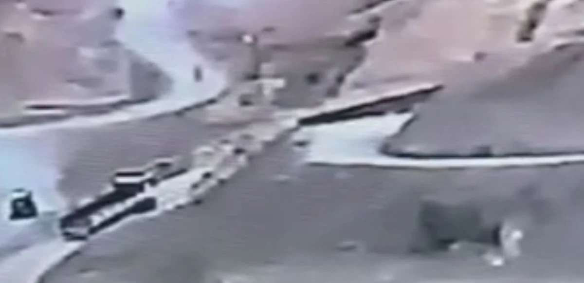 Tır sürücü yokuşu çıkamadı, yardım beklerken feci şekilde öldü! 