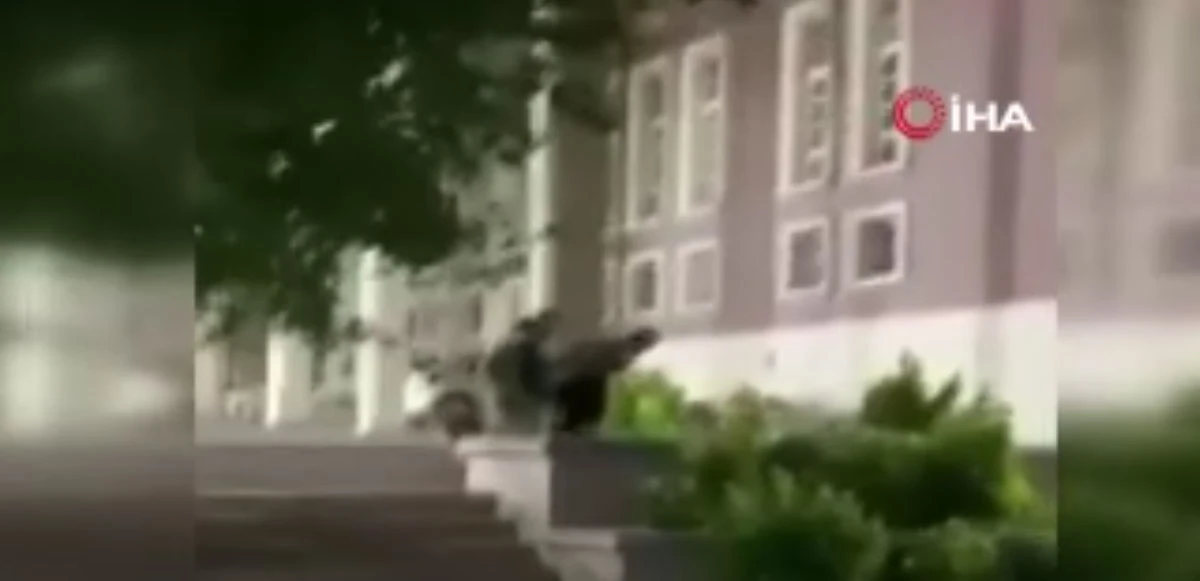 Ankara Üniversitesi'nde korku dolu anlar: Sokak köpekleri öğrencilere saldırdı