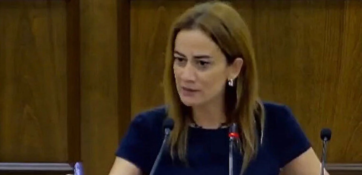 KKTC milletvekili Doğuş Derya, Türkiye ve Cumhurbaşkanı Erdoğan’ı hedef aldı