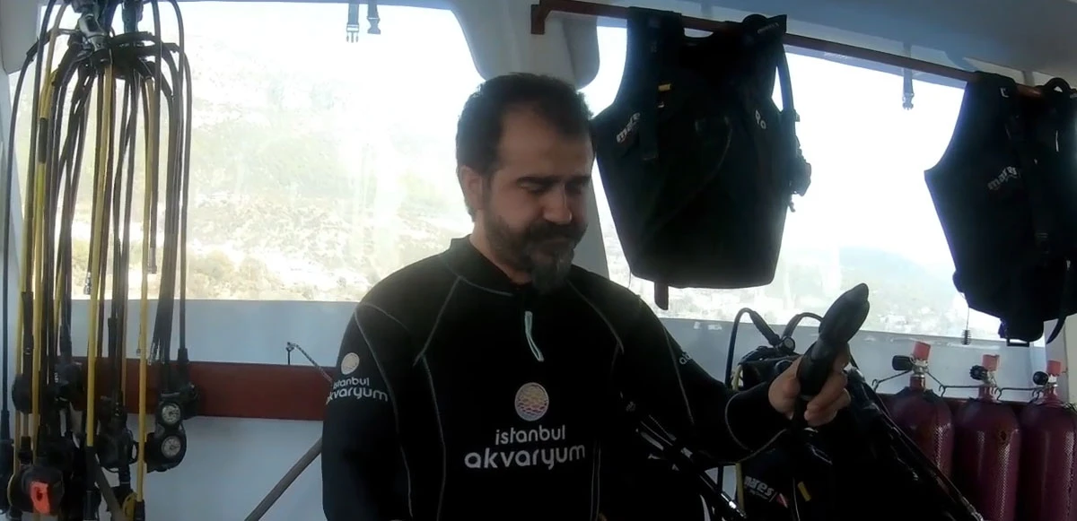 Caretta'yı İstanbul Akvaryum dalgıçları kurtardı