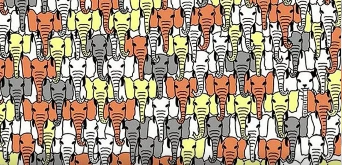 Dünyaca ünlü görsellerle karakter analizi: Bu optik illüzyonlar nokta atışı yapıyor!