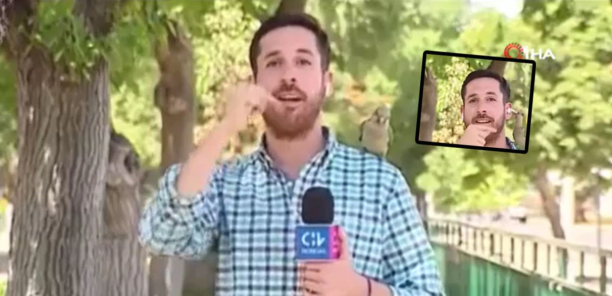 Muhabir soygun haberi yaparken omzuna konan kuşun gaspına uğradı!