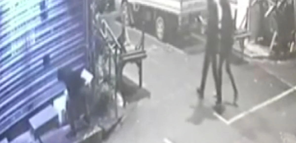 İstanbul’da hayrete düşüren olay! Kedi yuvasını yumrukla parçaladı