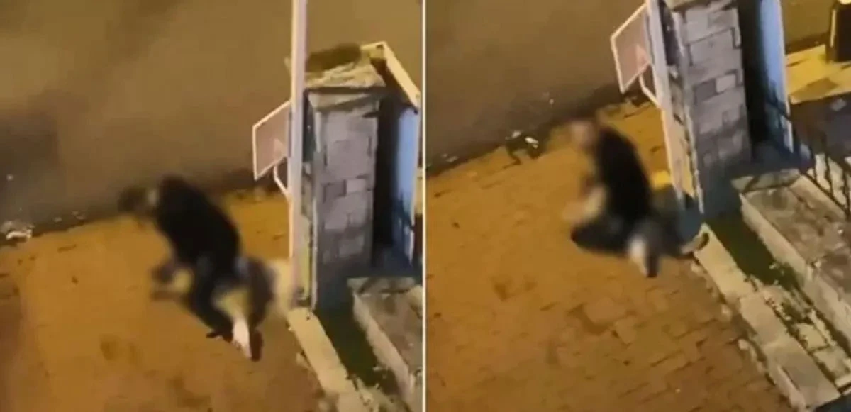 Sarıyer’de köpeği boğmaya çalışan zanlının ifadesi ortaya çıktı!