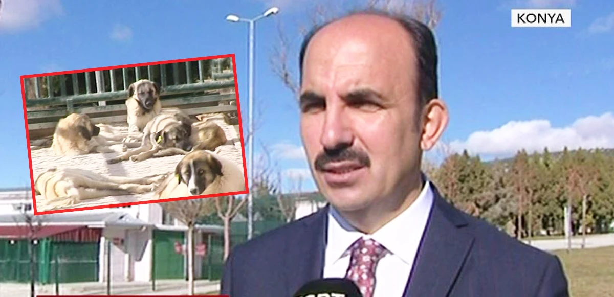 TGRT Haber tepkilerin odağındaki barınakta! Konya Belediye Başkanı tepki gösterdi: İki caninin yaptığı Konya’ya mâl edilemez, olay siyasi linçe dönüştü