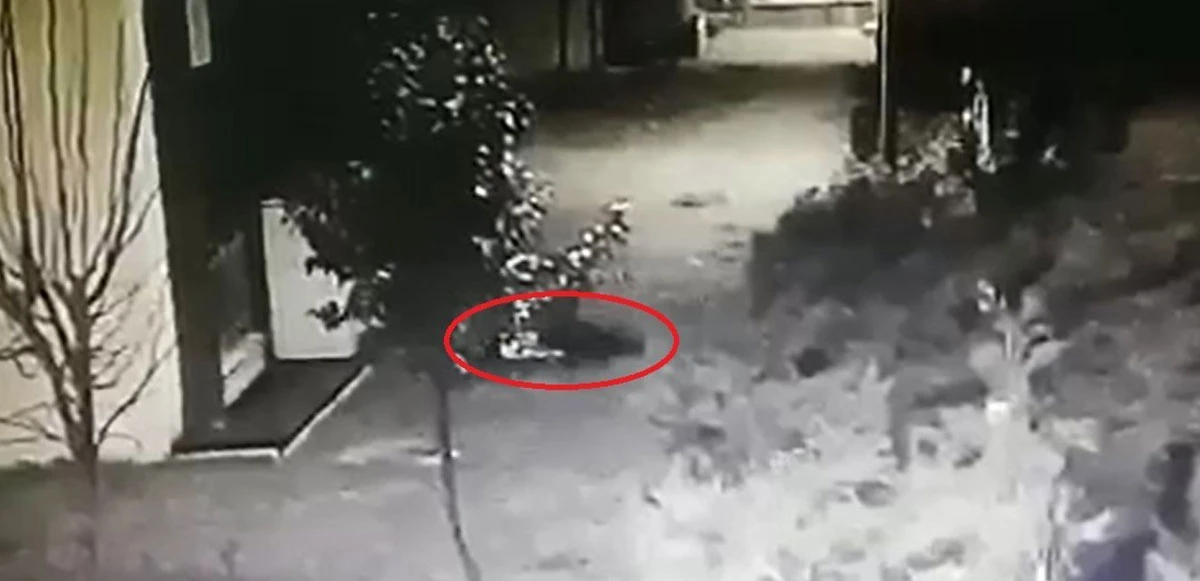 Tedavisine devam ediliyor! Sedefnur Çağlar'ın 7.kattan sır düşüşü aylar sonra ortaya çıktı
