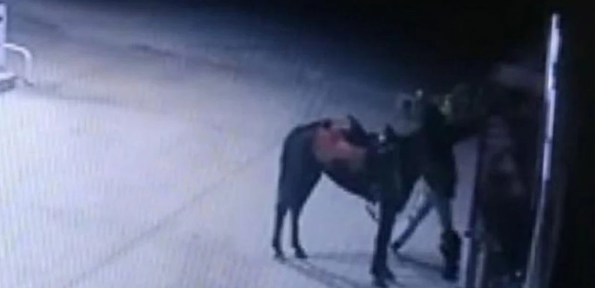 At ile akaryakıt istasyonuna geldi, kola çalarak gitti
