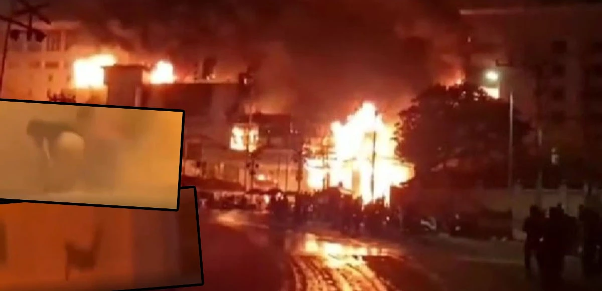 Alev alev yanarken ölüme atladılar! Kamboçya'da facia: 10 ölü, 30 yaralı