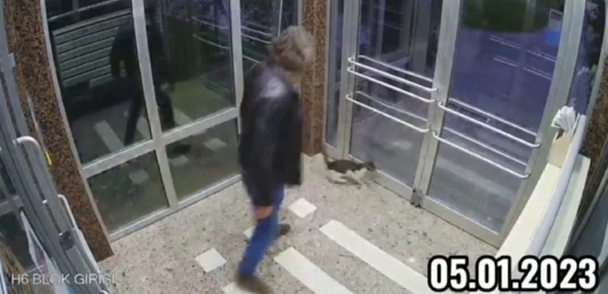 Vicdansız şahıs apartman girişindeki kediyi defalarca tekmeledi 