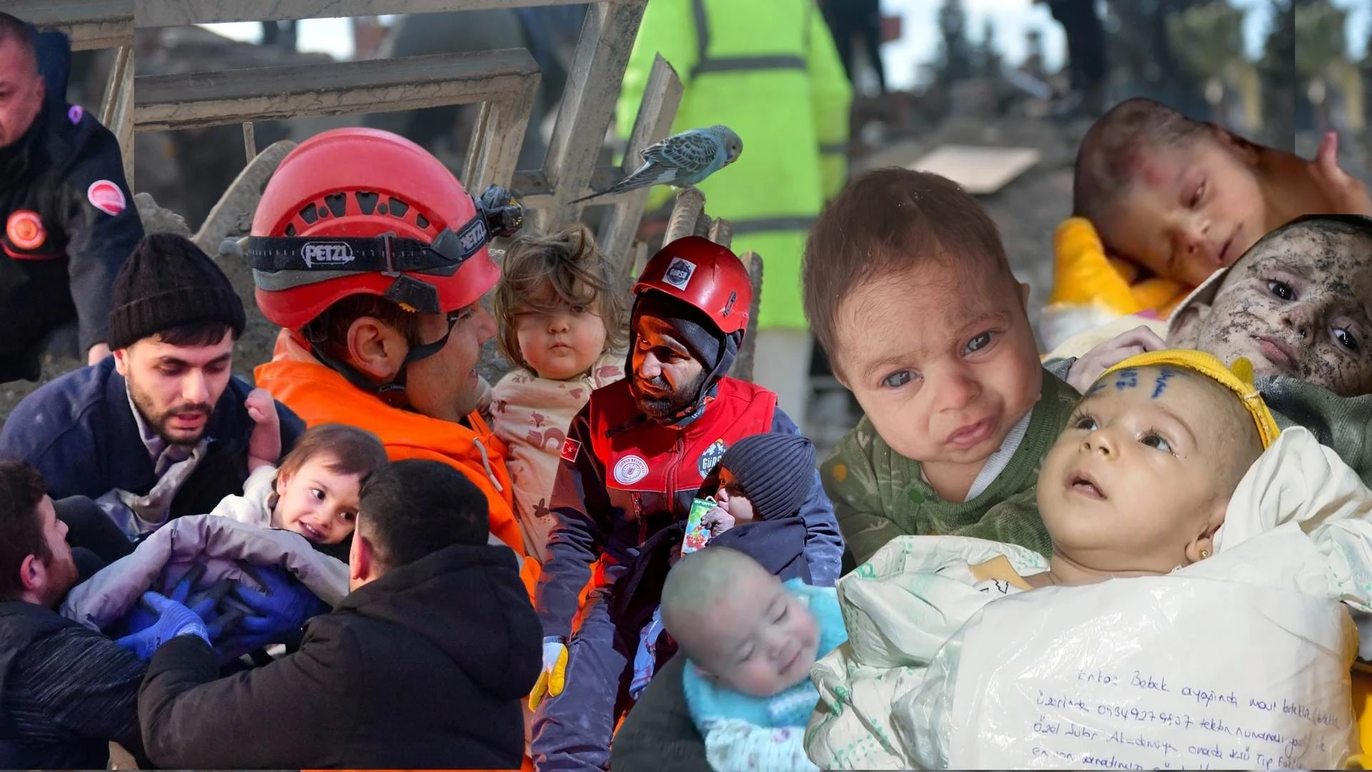 Depremden kurtarılan çocuklar için ne yapılacak?
