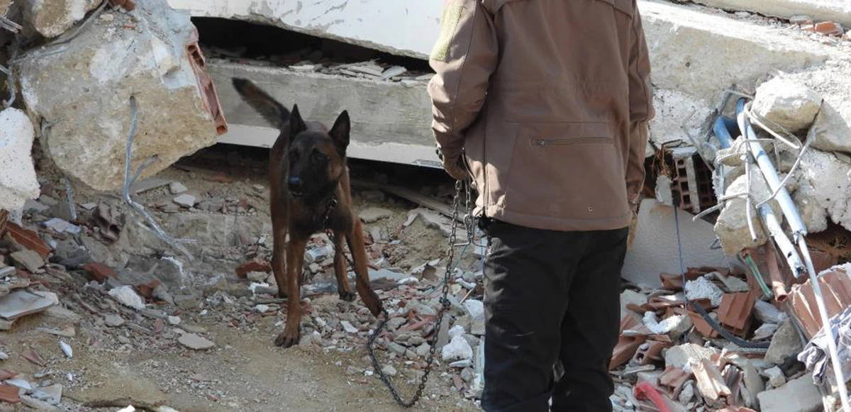 'Tetik' hassas burnu ile enkazdan 33 kişiyi kurtardı