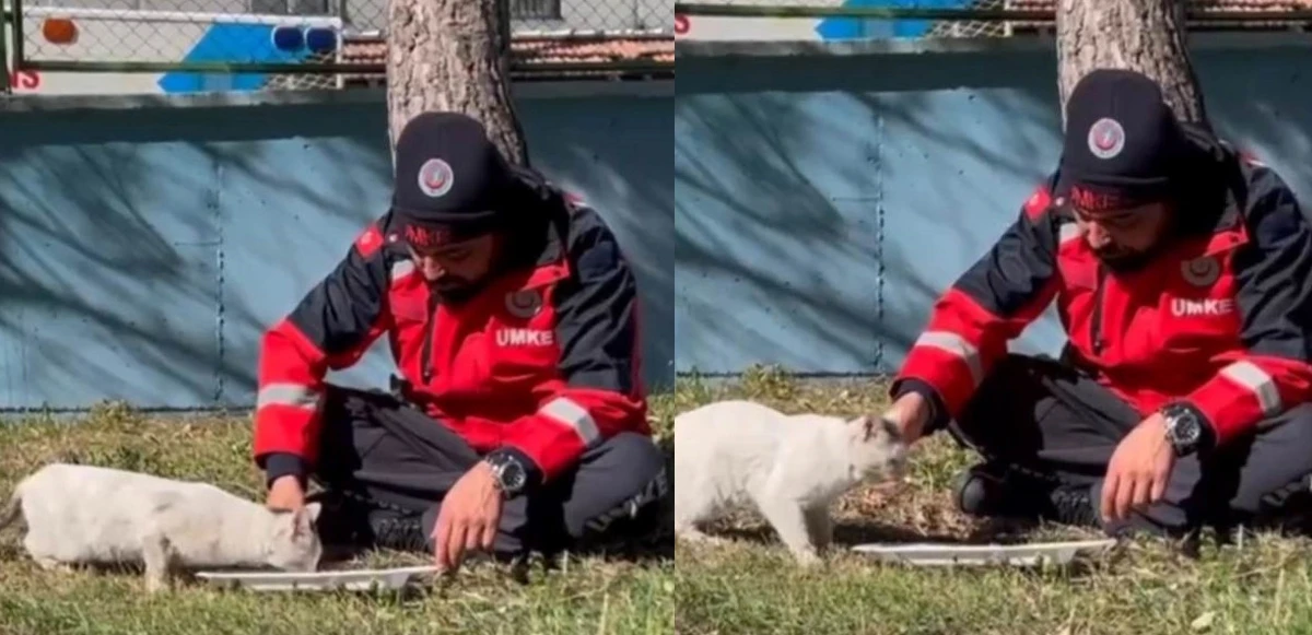 Deprem bölgesinde UMKE personelinin vefası! Yemeğini kedi ile paylaştı