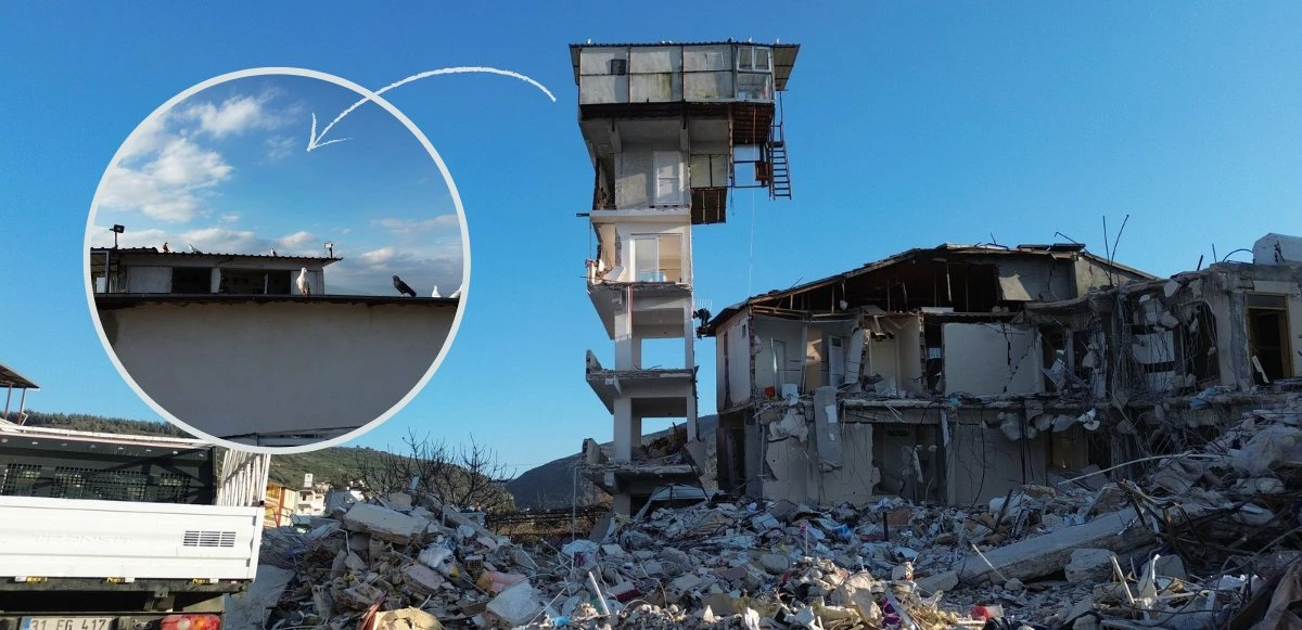 Kuş yuvasının bulunduğu kolonları yıkılmayan bina havadan görüntülendi