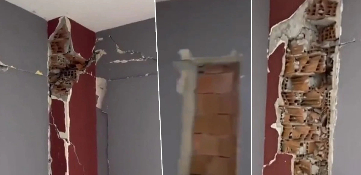 Dehşete düşüren görüntü! Evinin sağlamlığını kontrol etmek istedi, gördükleri karşısında şoke oldu