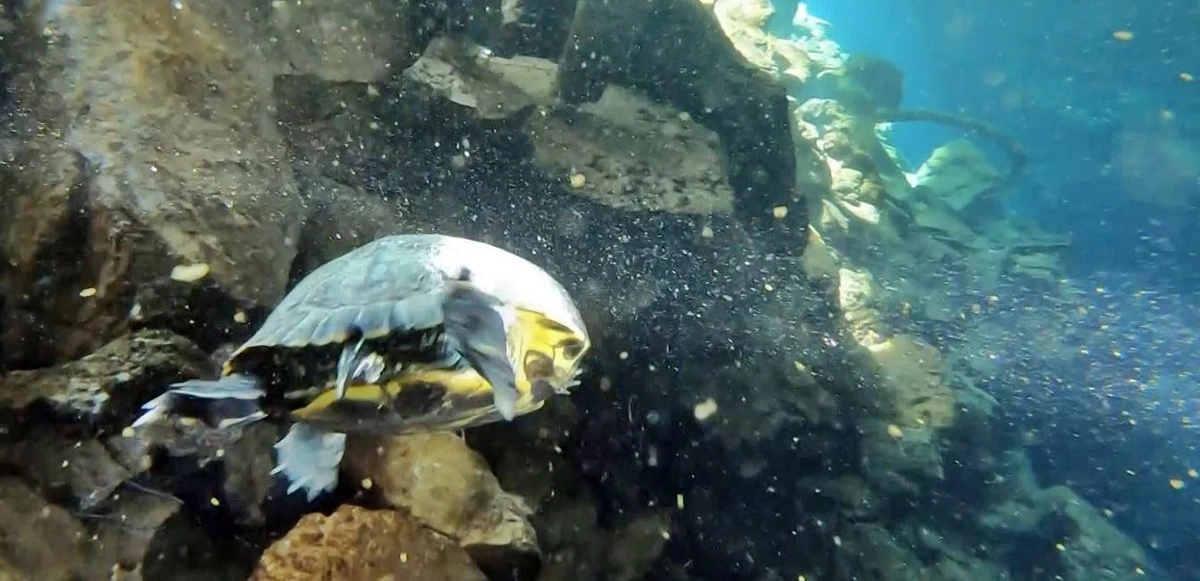 Okyanus değil Antalya’nın obruğu: Hepsi 35 metre derinlikte görüntülendi