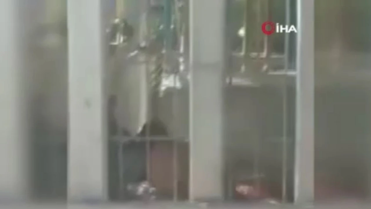Hayvanat bahçesinde dehşet: Aslan, çocuğu parçaladı