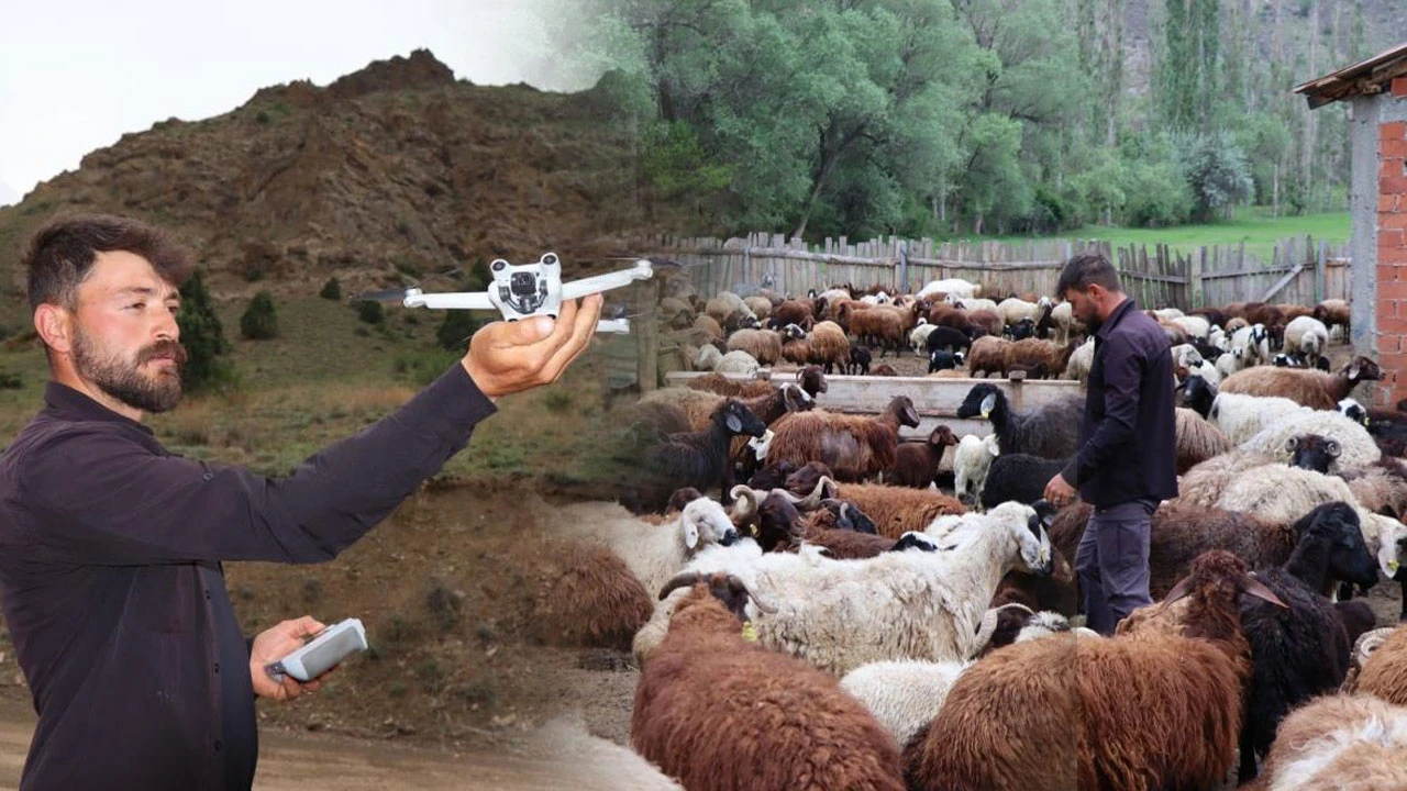 Kayıp koyunu için dron havalandırdı ilginç görüntüler kaydetti
