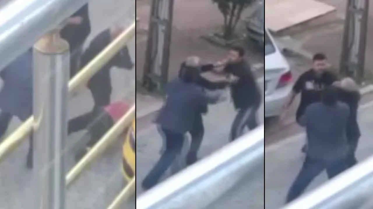 Park yeri kavgası boks maçını aratmadı! Tek yumrukla yere serdi