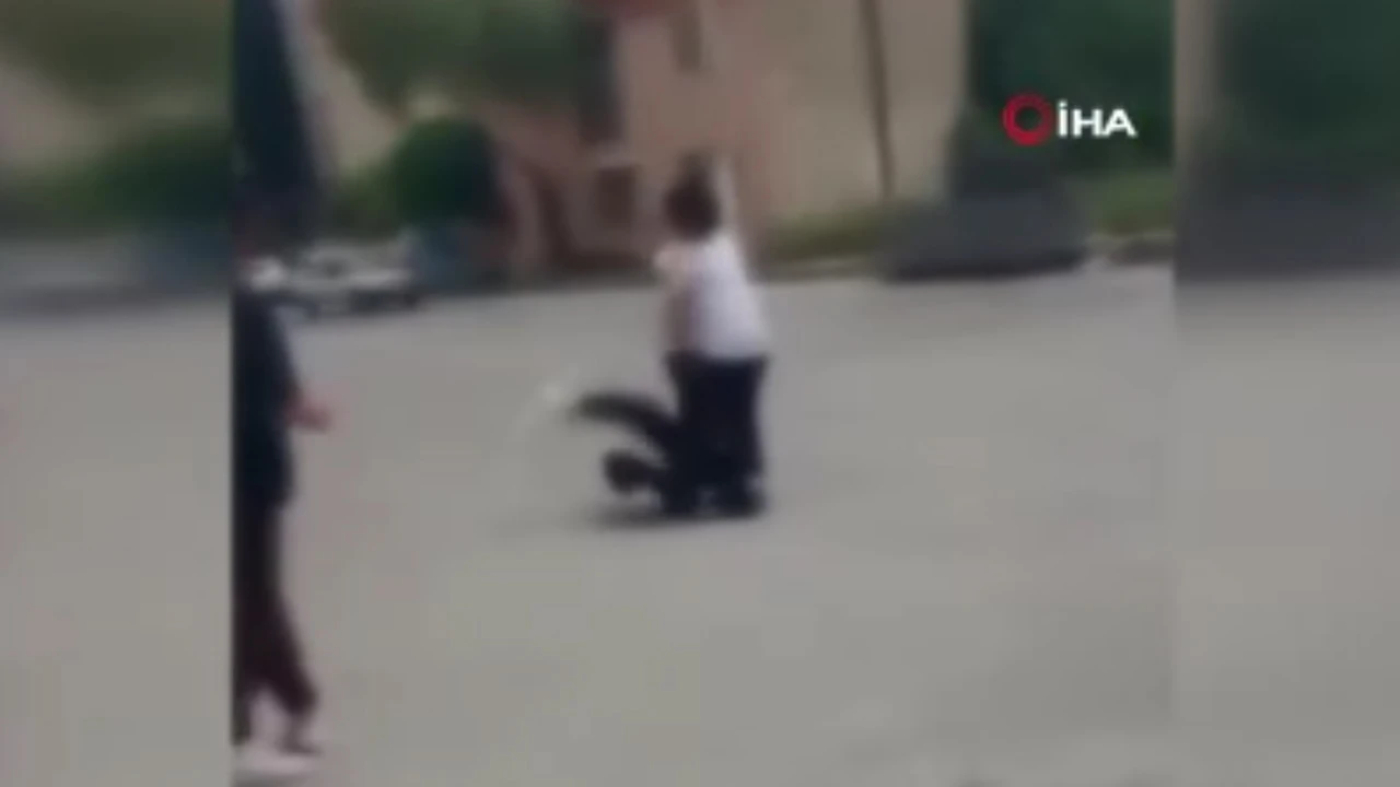 İzmir’de kız öğrenciler sokak ortasında birbirine girdi!