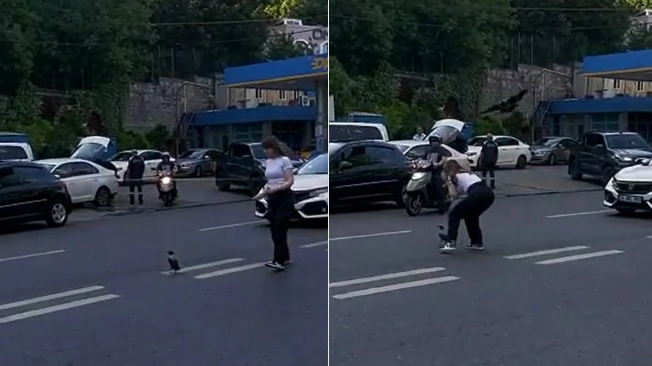 Karga kargalığını yaptı! Yavrusunu kurtarmak isteyen kadına saldırdı