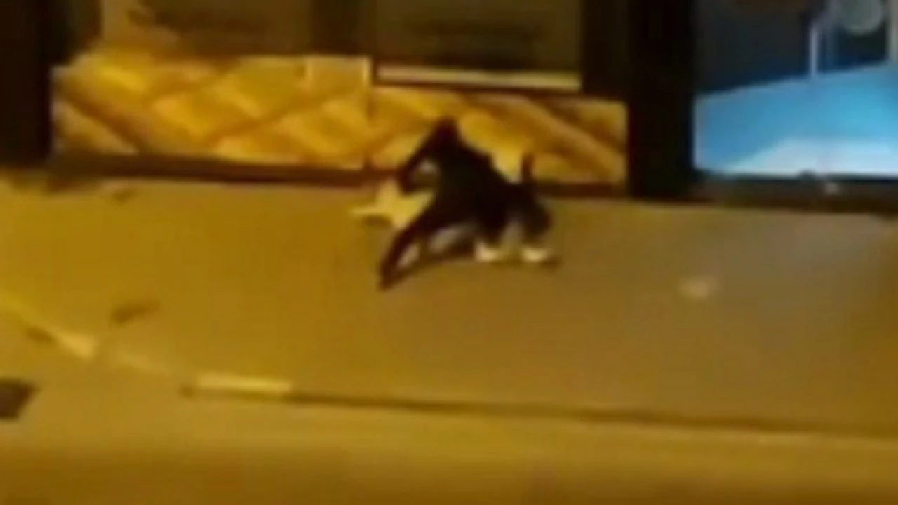 Erkek arkadaşı tarafından şiddete uğradı, polis gelince şikayetçi olmadı!