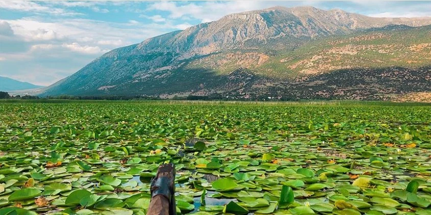 Nilüferler görüntüsüyle büyülüyor: Yeni turizm merkezi olma yolunda