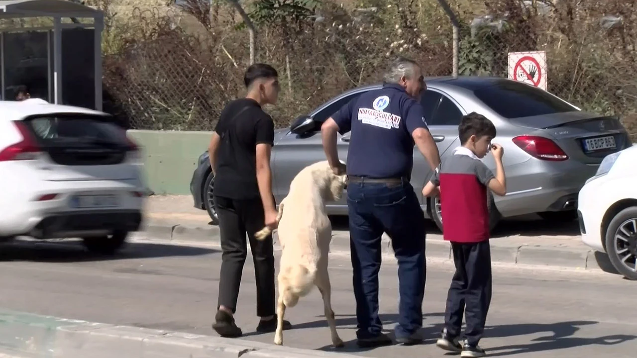 El ele kurban kesim alanına! Bayrama damga vuran görüntüler…