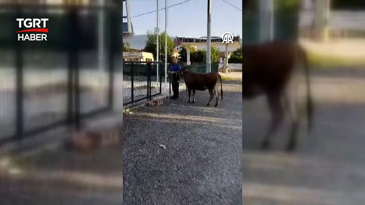 Kaçan kurbanı polis yakaladı!