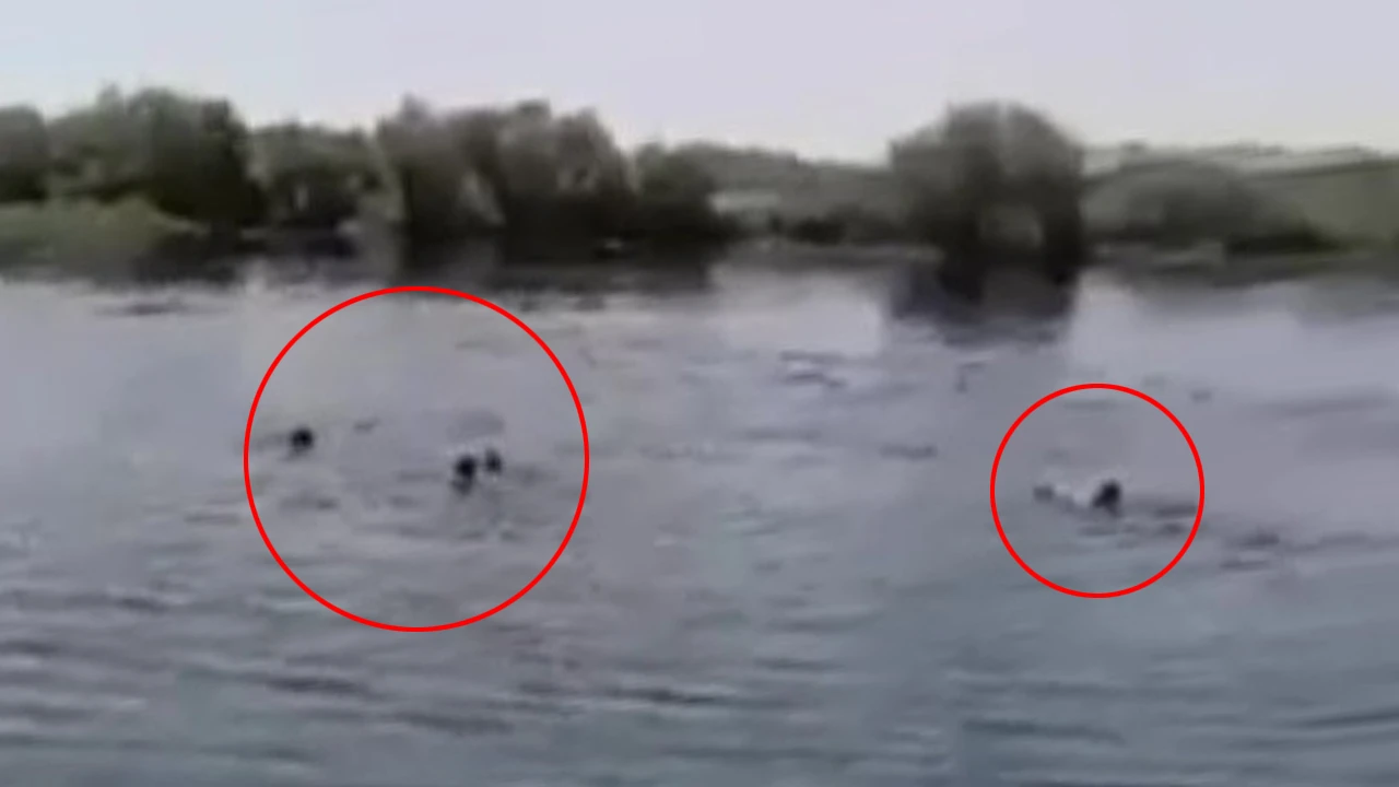 Fırat Nehri'ndeki facia kamerada! Serinlemek isterken canlarından oldular