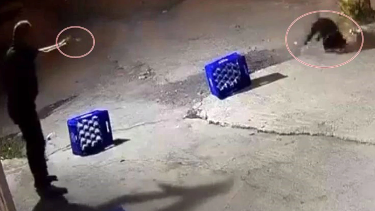 Önce köpeği ağaca bağladı, sonra kurşun yağdırdı!