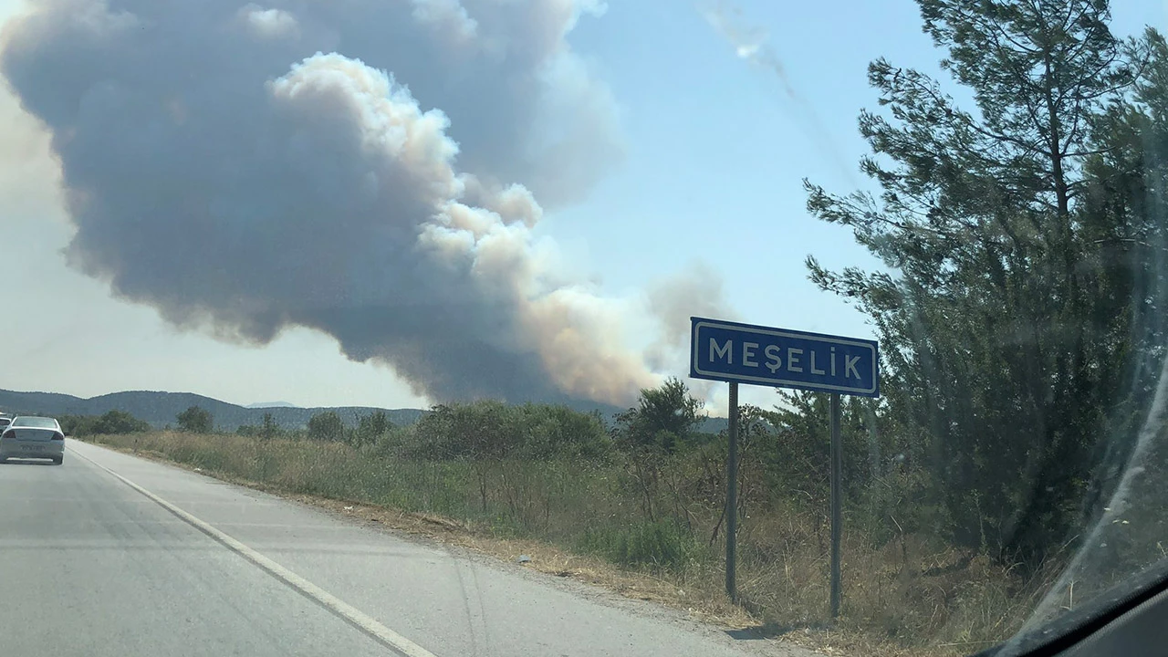 Bodrum Milas’ta orman yangınına müdahale