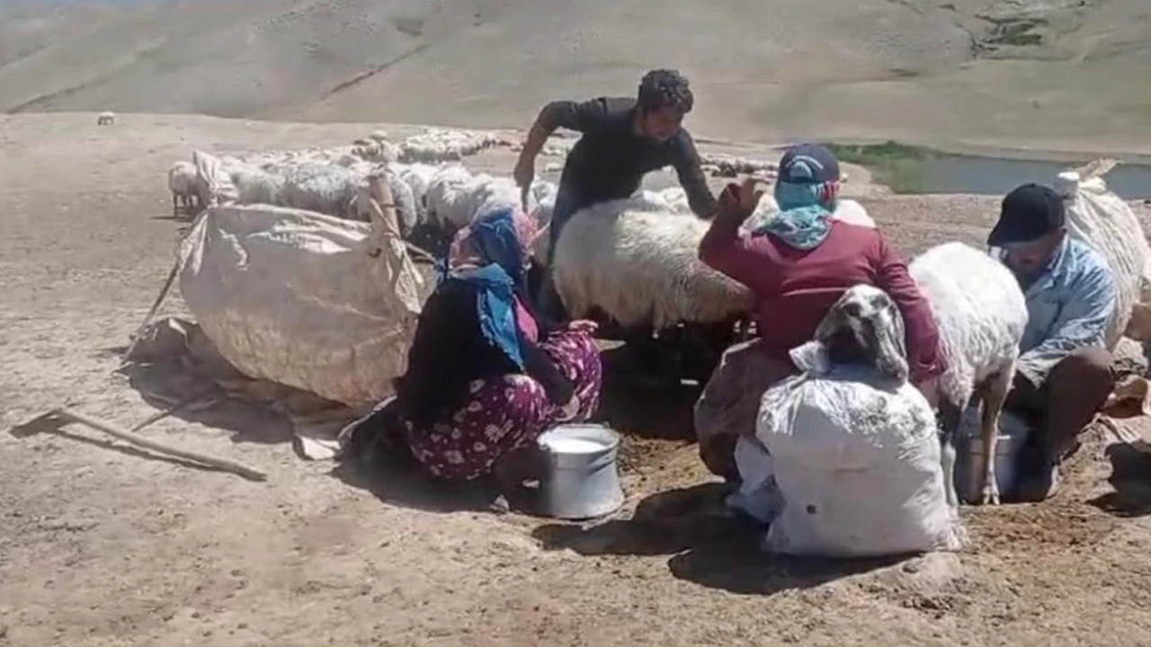 Kaynanasından devraldı Türkiye'nin dört bir yanına satıyor
