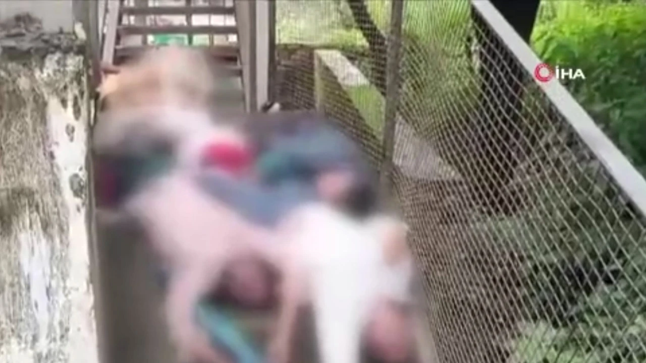 Hindistan'da trafo patladı: İnsanlar üst üste yığılarak hayatlarını kaybettiler