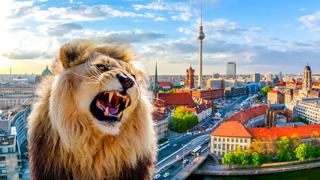 Berlin’de görülen aslan paniğe neden oldu