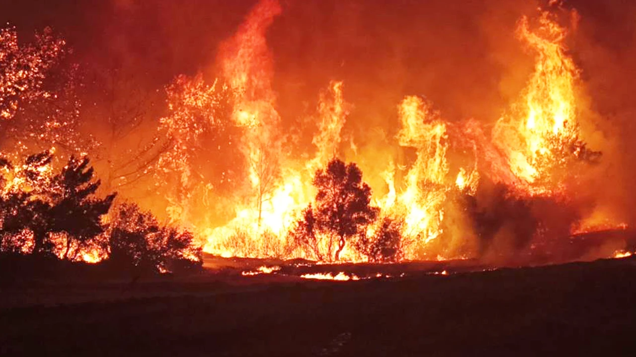 Çanakkale'de yangının iki günlük ağır bilançosu: 1500 hektar alan yandı