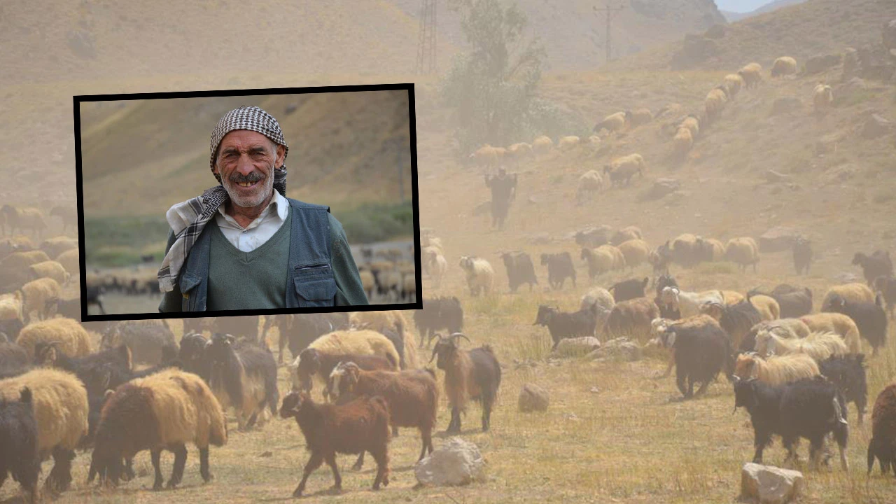 Faraşin soğudu, göçerlerin dönüş yolculuğu başladı