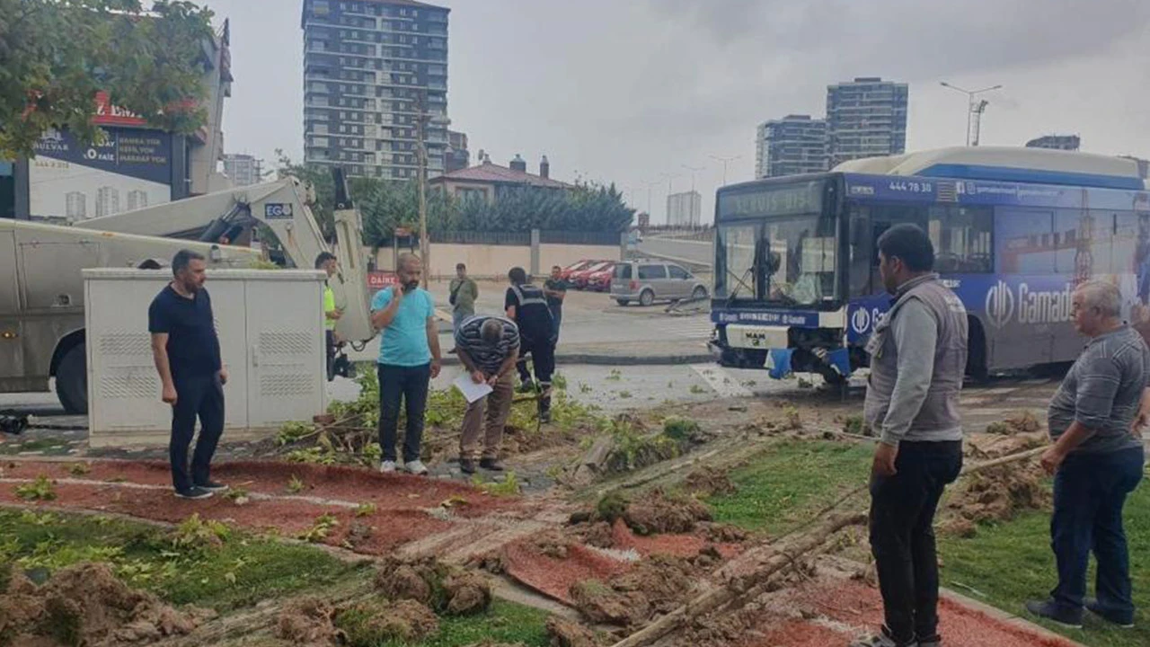 Ankara’da korkutan kaza: Parktaki ağaçlara çarparak durabildi