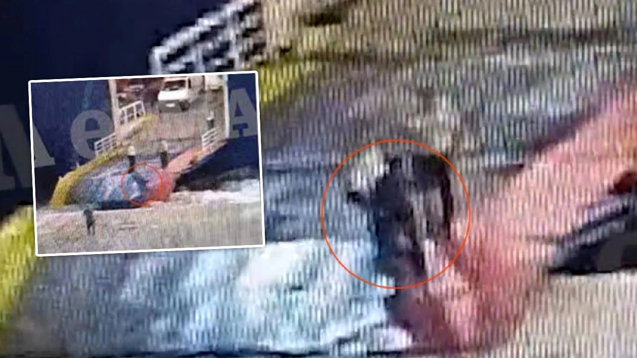 Feribota binmek isteyen yolcuyu ölüme ittiler