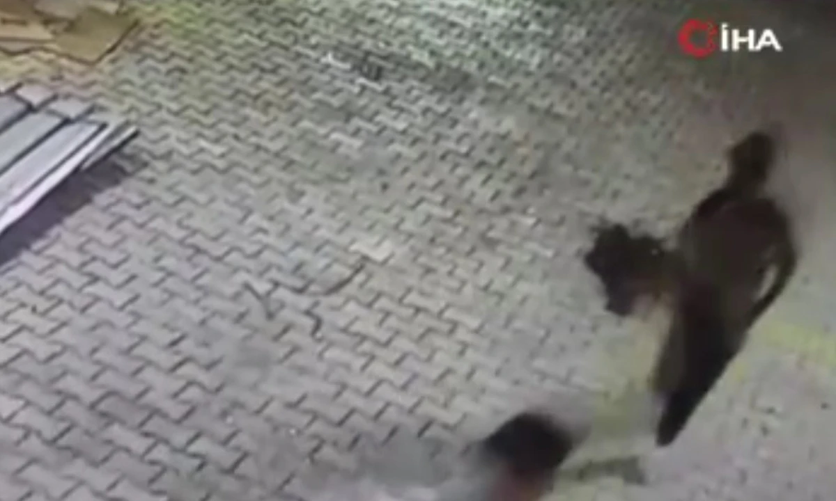 Acemi hırsızlar kameraya böyle yakalandı