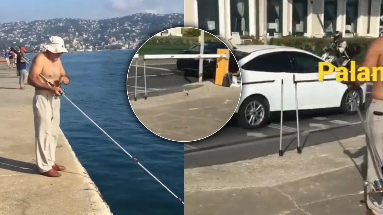 Oltadan kurtuldu, İstanbul trafiğinde can verdi! Arabanın altında ezilen palamut sosyal medyanın gündeminde