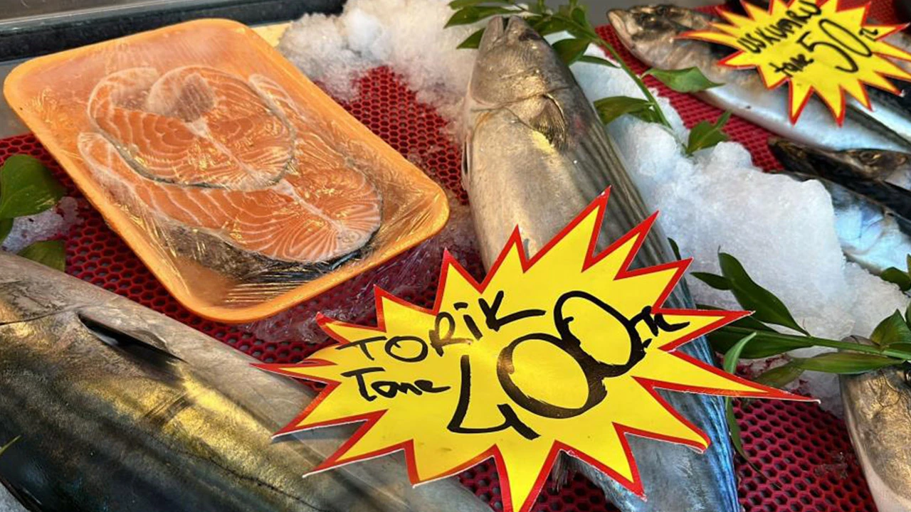 Sarıkanat 500, torik 400 liraya çıktı!