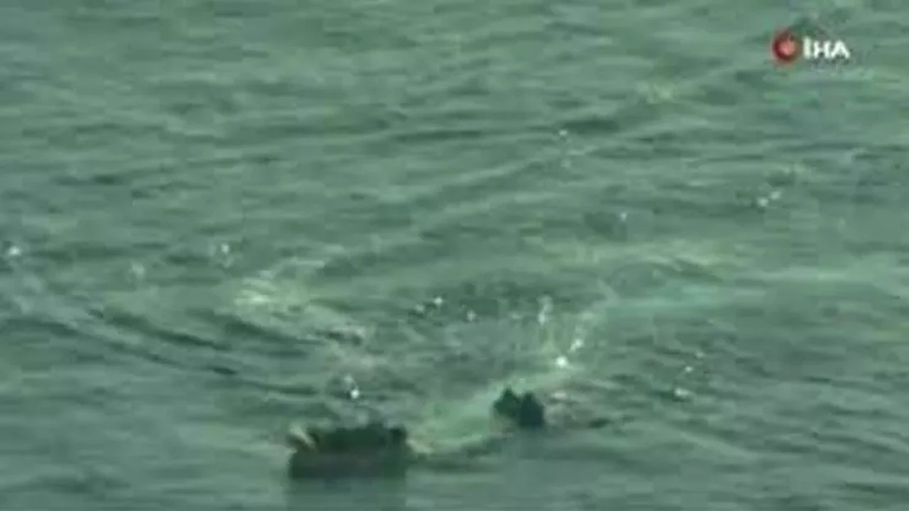 Libya açıklarında can pazarı: Sahil güvenlik botu, 50 göçmeni taşıyan bota kasten çarptı