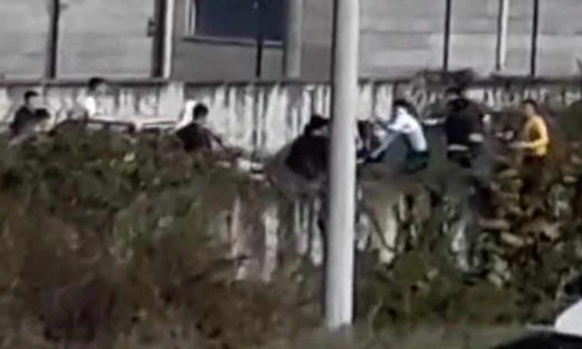Gençlerin tekme tokat kavgası kamerada
