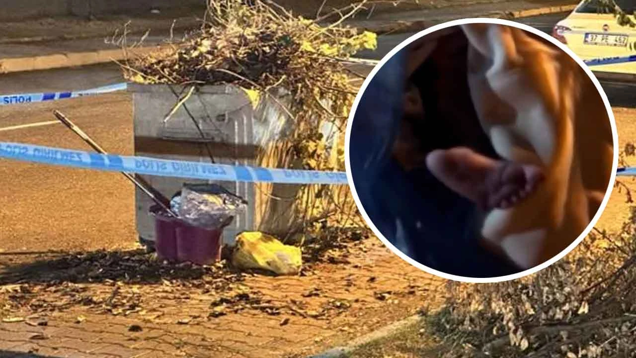 Görüntüler kahretti! Kastamonu'da yeni doğan bebeği çöpe attılar...