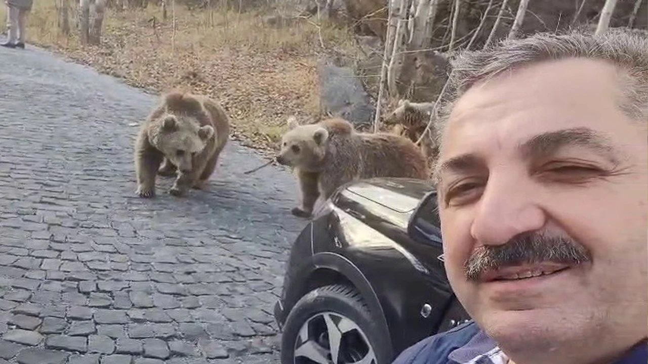 Vatandaşın yol kesen ayılarla muhabbeti güldürdü, o anlar kamerade