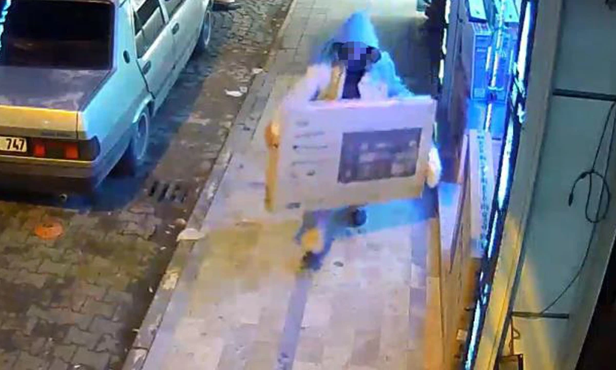 Gözüne kestirdi, sırtlayıp götürdü: Televizyon hırsızı kamerada